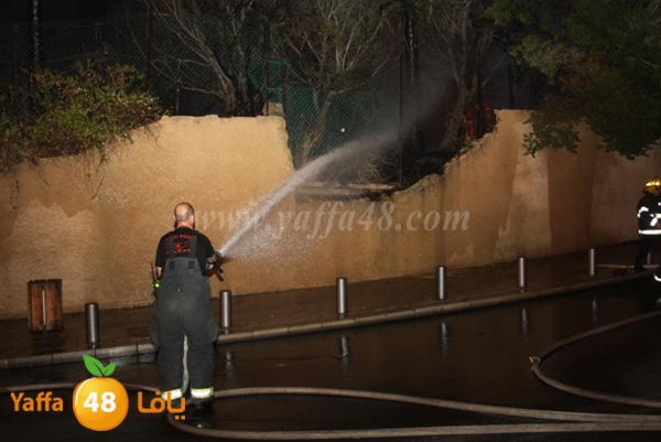 fire minas2 sterer (22).JPG